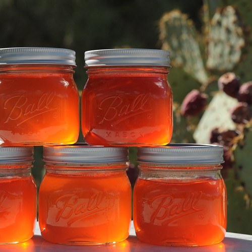 Prickly Pear Jelly When Life Gives You Prickly Pears Make Jelly Everyday Southwest,Gyro Recipe Chicken