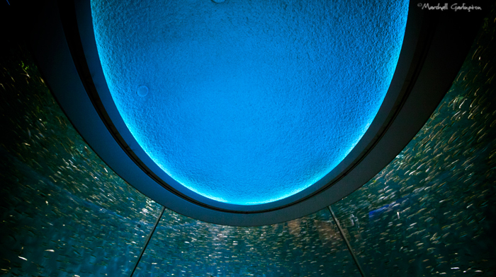 360 Aquarium