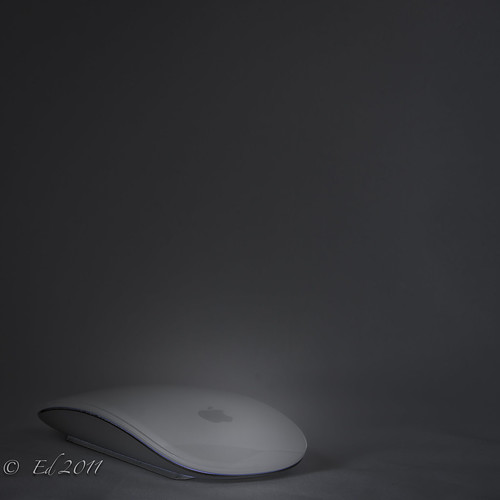 The Mouse by photomyhobby