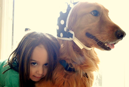 Maxwell - Golden Retriever - with Madeline