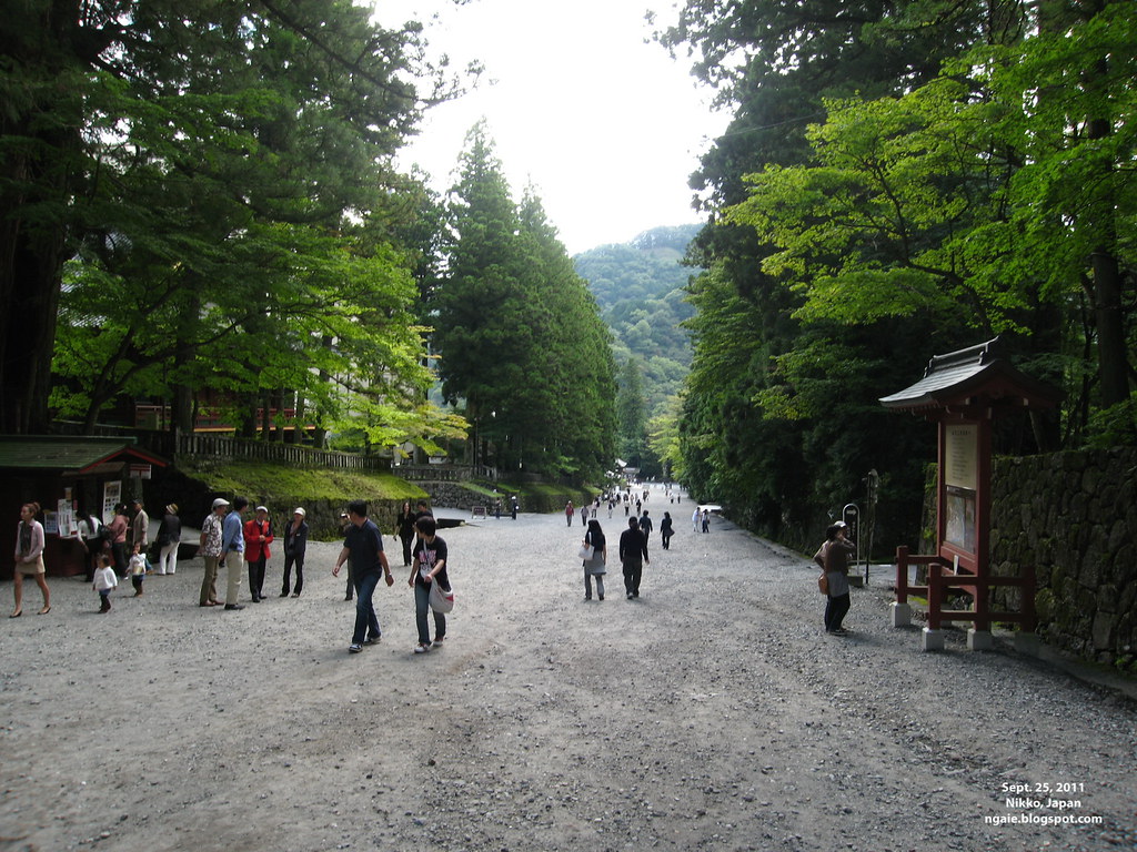 Path Leading to Toshogu Shrine