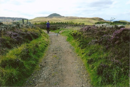 Peter striding East Lomond by kennycorh