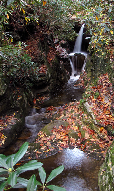 DUGGARs Creek in Fall