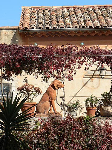 terrasse et chien de garde.jpg