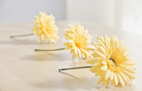 3 flores amarillas