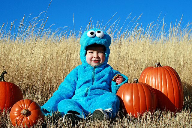 Cookie Monster Halloween 2011