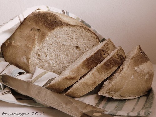 pane toscano lievitazione naturale-tuscan sourdough bread-bww18