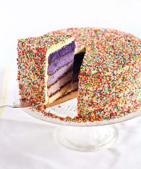 purple_ombre_sprinkle_cake-19