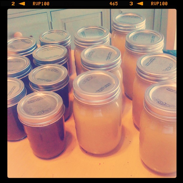 Round 1 of canning is complete (only costs $7!) Round 2 will commence next week.
