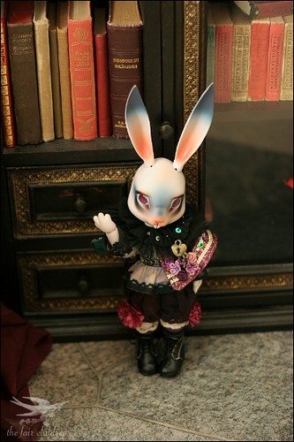 Bunny in the library I