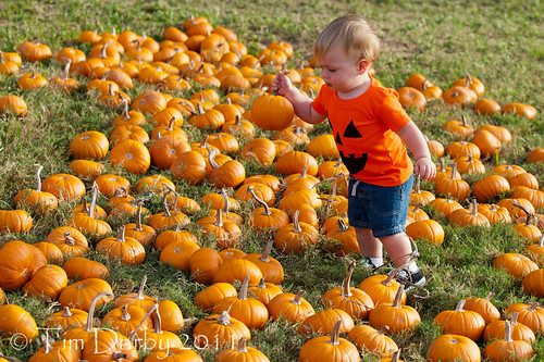 2011-10-19 - Pumpkin Patch-11