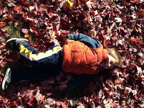 laying-in-leaves