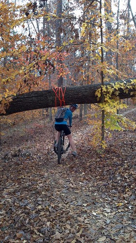 Biking November 13 rachel log