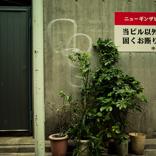 5 Potted Plant Line Up, Ginza