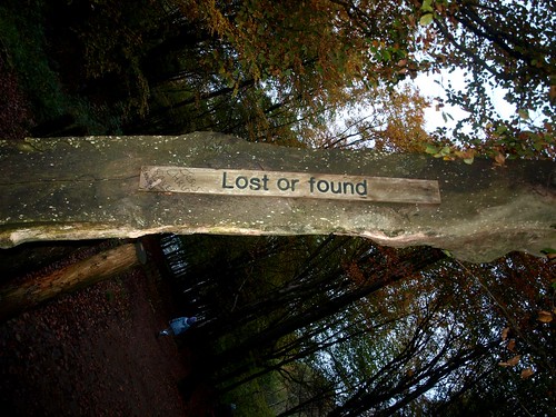 Lost or found (28/365)