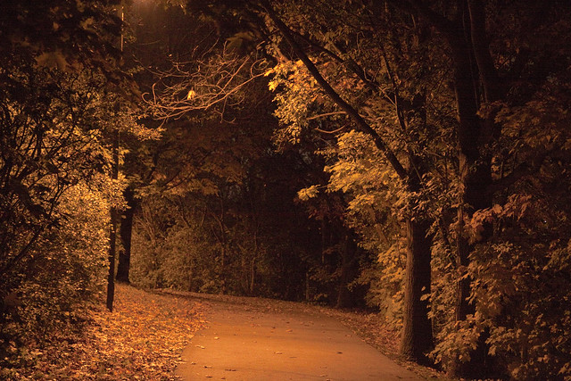 path at night