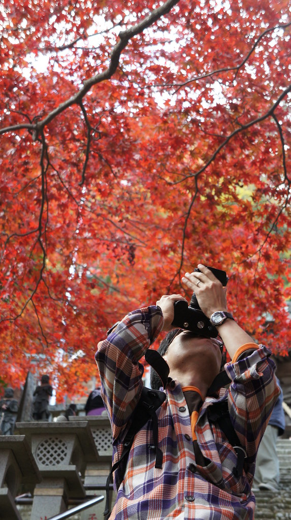 red leaves and photographer