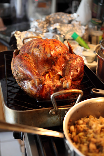 Thanksgiving Turkey by ccho, on Flickr