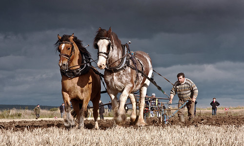 Scottish Ploughing Championships 2011 by Bruiach/ Colin Campbell