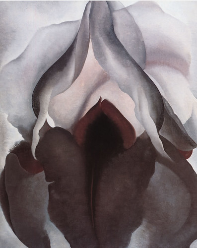 Georgia O’Keefe - Black Iris [1926] by Gandalf's Gallery