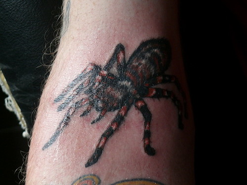 Tattoos Symbol, Spider Tattoos