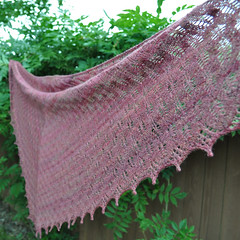 Bitterroot shawl
