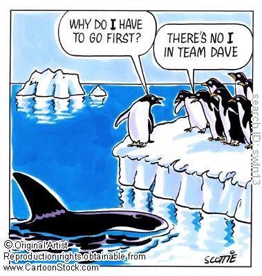 penguen ve katil balina karikatürü