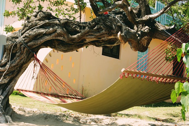 JAMAICA 2011