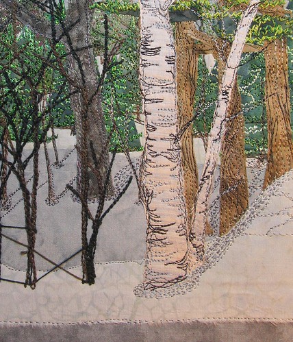 big birch tree