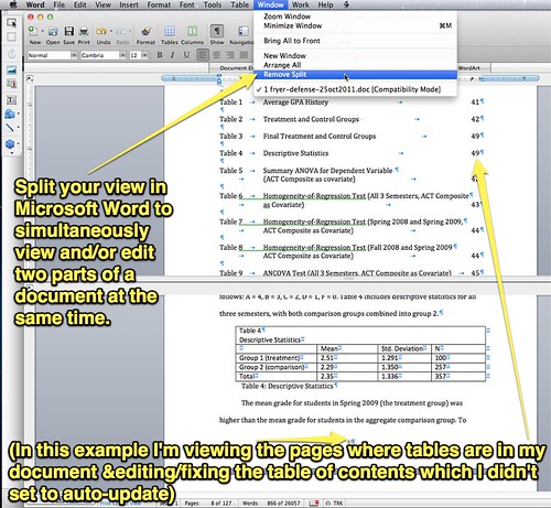 Split Your View in Microsoft Word