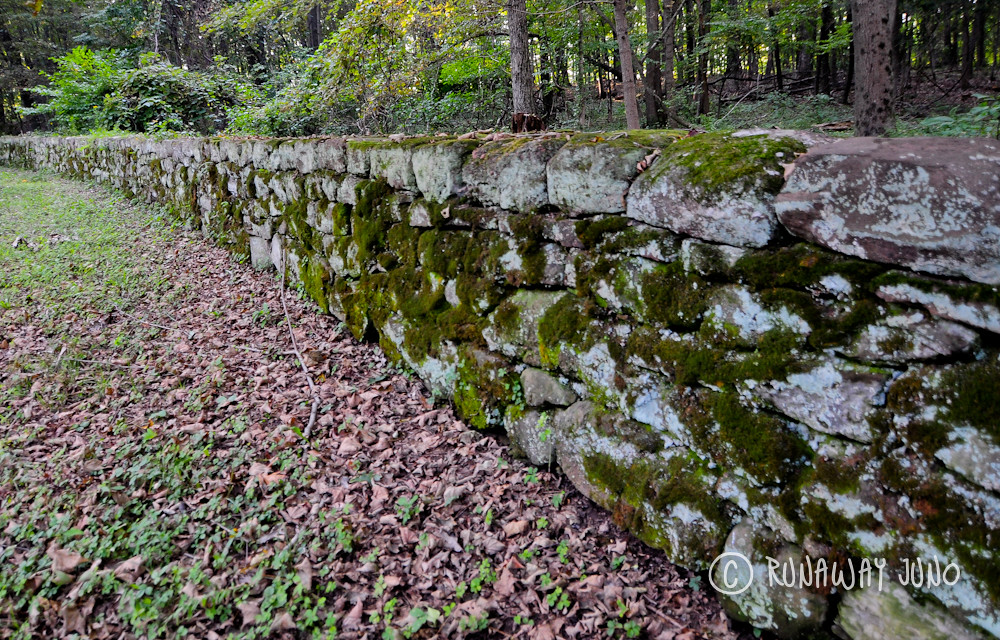 Stone wall on The Olmsted Carriage Road
