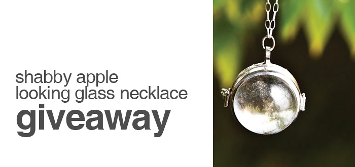dash_giveaway, shabby apple giveaway, looking glass necklace, fish eye lens, dash dot dotty