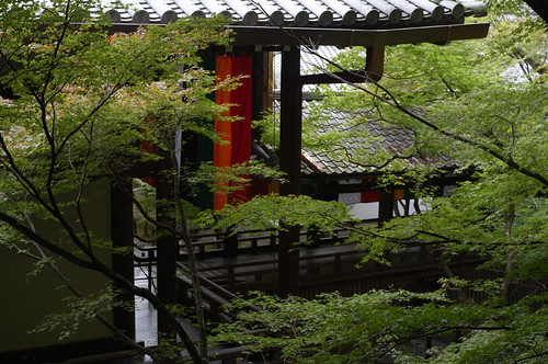 京都をめぐる冒険 永観堂