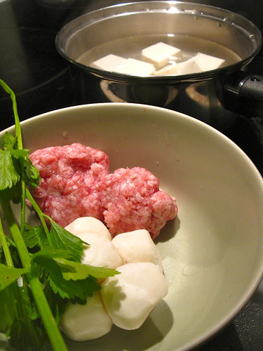 Tofu/Fishball/Minced Pork Soup with Chinese Celery Singlish Swenglish
