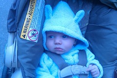 Little blue-eyed bunny! by Guzilla
