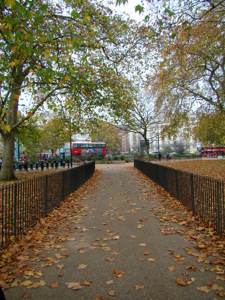 Autumn In Hyde Park