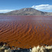 L'intensissimo color rosso della Laguna Colorada