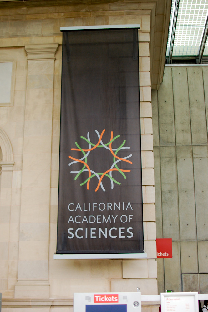 @ California Academy of Science