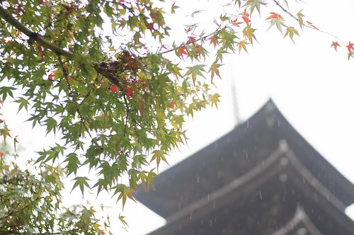 京都をめぐる冒険 東寺