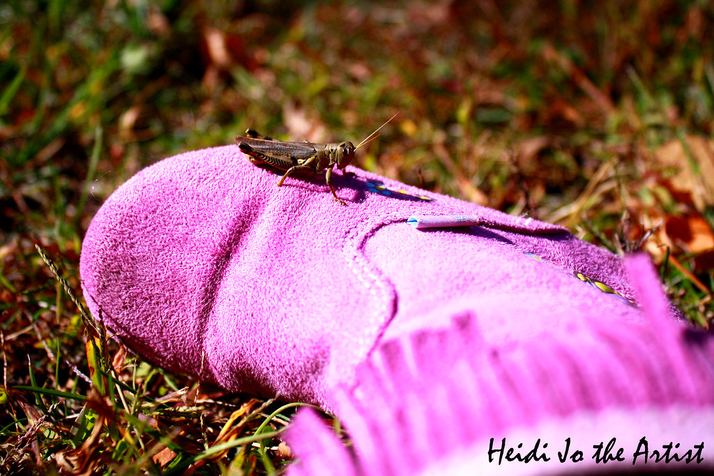 Grasshopper on Purple Boot in Nature