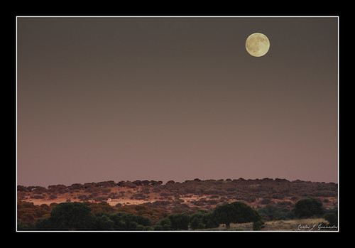 La luna en el encinar by Carlos_JG
