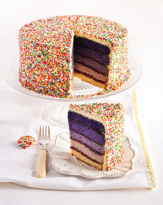 purple_ombre_sprinkle_cake-18