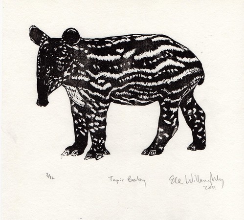 tapirBaby518