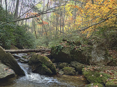 Goose Creek, Floyd Co Virginia
