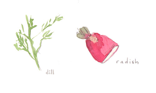dill and radish