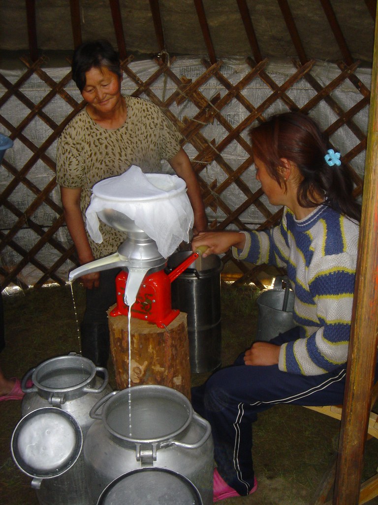 Fabrication de beurre en milieu traditionnel (yourte) : phase d’écrémage du lait, Sum de Onder-Ulaan (Bag de Belkhi), Arkhangaï, Mongolie