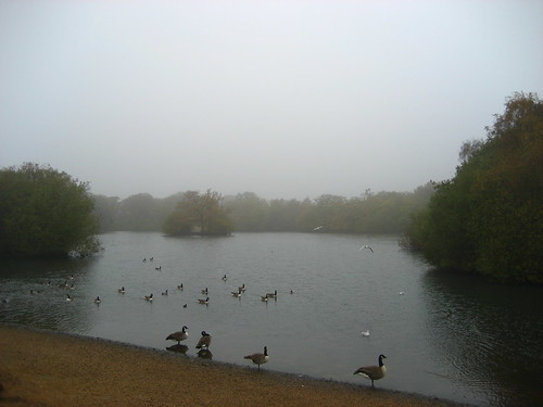 November morning mist over Hollow Ponds