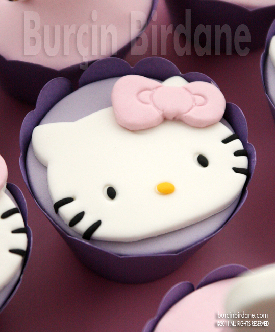Dis Bugdayi Cupcake 2