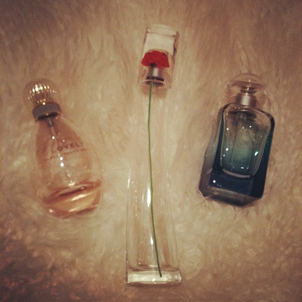Which perfume?
