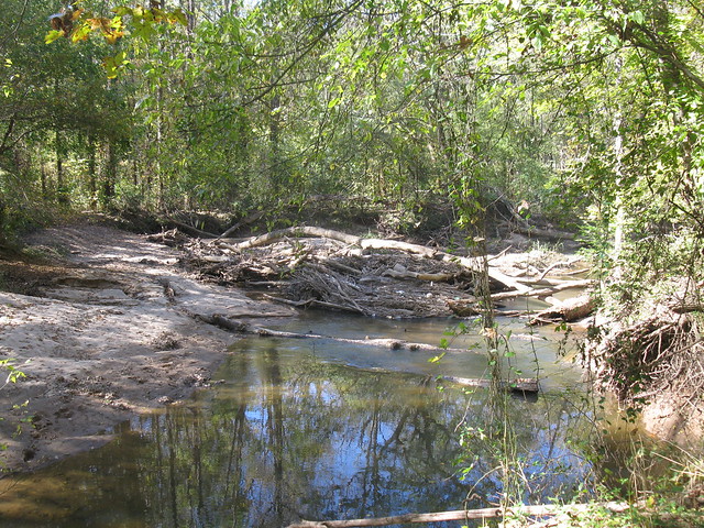 Looking downstream at the same wood jam (Photo by A. Jefferson, 2011)